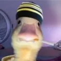 ! ⌖ :( Ɱҽհɾąʂ ):اواتار 