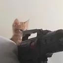 Mohammad Hosseinاواتار 