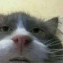  اواتار galaxy_meow