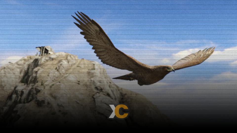  بنر سرور XCityVMP