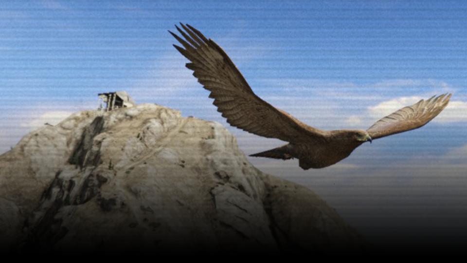  بنر سرور XCityVMP